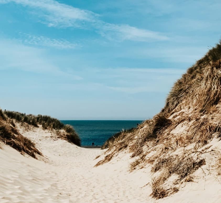 A sandy path through the dunes leading to the North Sea